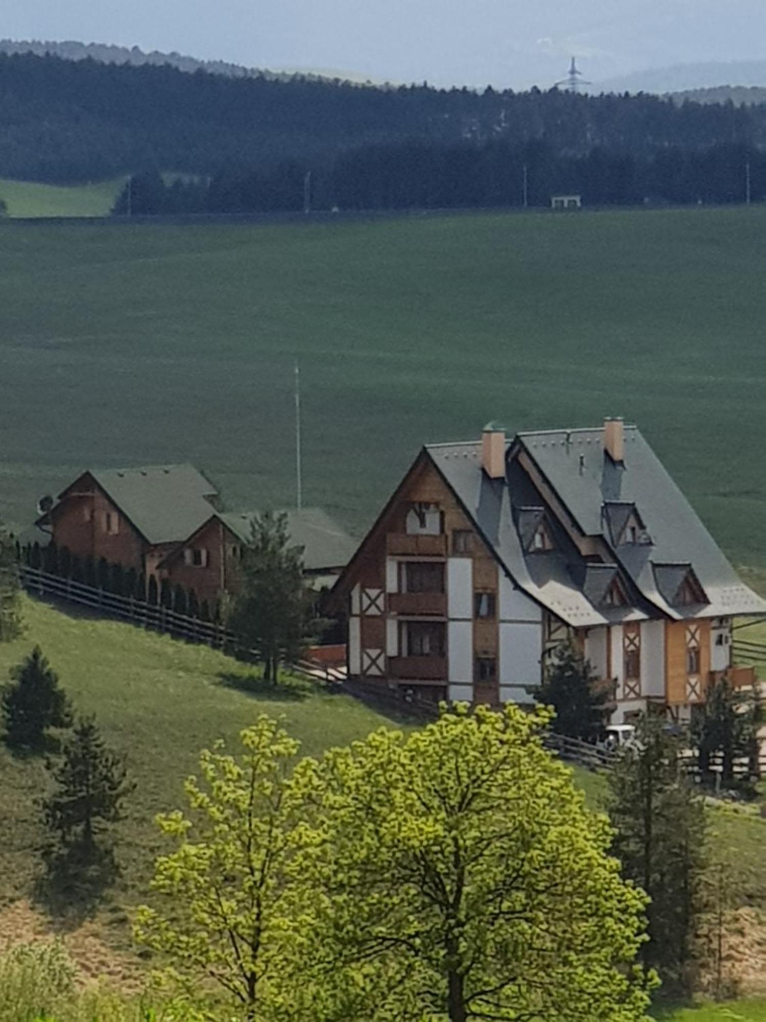 Brvnare Bor Villa Zlatibor Exterior photo
